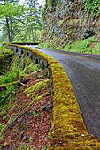 Oregon, Columbia River Gorge National Scenic Area, Historic Columbia Gorge Highway