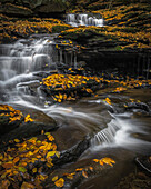 USA, Pennsylvania, Ricketts-Glen-Staatspark. Wasserfälle stürzen über Felsen.
