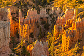 USA, Utah, Bryce-Canyon-Nationalpark. Canyon-Übersicht