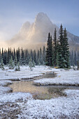 Fresh autumn snow on Liberty Bell Mountain and meadows of Washington State Pass. North Cascades, Washington State