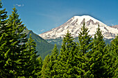 Mount Rainier, schneebedeckt, Straße zum Paradies, Mount Rainier National Park, Washington State, USA