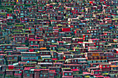 Rote Blockhütten, die von Nonnen und Mönchen bewohnt werden und den Berghang bedecken, Seda Larung Wuming, das größte tibetisch-buddhistische Institut der Welt, Garze, Provinz Sichuan, China