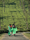Frauen, die auf einem Weg inmitten eines Teeanbaugebiets in den Anaimalai Hills in der Nähe von Valparai, Tamil Nadu, Indien, spazieren gehen.
