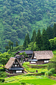 Gassho-zukuri-Häuser in den Bergen, Dorf Ainokura, Gokayama, Präfektur Toyama, Japan