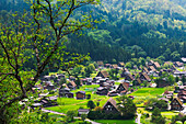 Gassho-zukuri houses and farmland in the mountain, Shirakawa-go, Gifu Prefecture, Japan