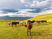 Pferde für die Produktion von Milch, Kumys und Fleisch. Ein typischer Bauernhof in der Suusamyr-Ebene, einem Hochtal im Tien-Shan-Gebirge, Kirgisistan