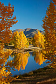 Herbstliche Reflektionen im Kellands Pond, nahe Twizel, Mackenzie District, Süd-Canterbury, Südinsel, Neuseeland