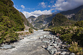 New Zealand, South Island, West Coast, Fox Glacier Village, Fox Glacier hikers along Fox River