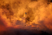 Rauchiger Sonnenuntergang und Helikopter bei der Brandbekämpfung in Burnside, Dunedin, Südinsel, Neuseeland
