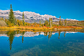 Canada, Alberta, Jasper National Park. Reflections in Talbot Lake.
