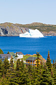 Avalon Peninsula