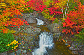 Canada, Nova Scotia, Cape Breton Island. Morrison Brook and forest in autumn foliage.
