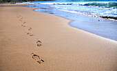 North America, Canada, Nova Scotia, footprints in the sand near the Cabot Trail, Cape Beton
