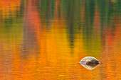 Canada, Quebec, La Mauricie National Park. Rock and autumn colors reflected in Lac Wapizagonke.