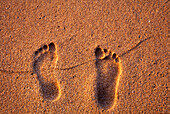 Hawaii, Kauai. Fußabdrücke im Sand an einem Strand auf Hawaii.