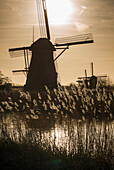 Netherlands, Kinderdijk, Traditional Dutch windmills