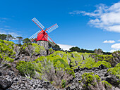 Traditionelle Windmühle in der Nähe von Sao Joao. Die Insel Pico, eine Insel der Azoren im Atlantischen Ozean. Die Azoren sind eine autonome Region Portugals.