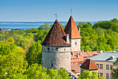 Blick auf Tallinn vom Toompea-Hügel, Altstadt von Tallinn, UNESCO-Weltkulturerbe, Estland, Baltikum, Europa