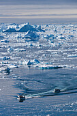 Greenland, Disko Bay, Ilulissat, elevated view of floating ice and fishing boat
