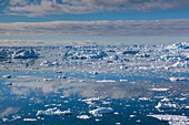 Grönland, Diskobucht, Ilulissat, Blick auf schwimmendes Eis von oben