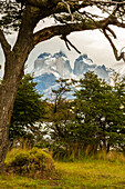 South America, Chile, Patagonia. Lake Pehoe and The Horns mountains.