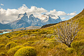 Südamerika, Chile, Patagonien. Der Pehoe-See und das Gebirge der Hörner.