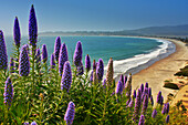 Strand, Marin Headlands an der Küste, Kalifornien, USA
