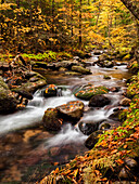 USA, New Hampshire, White Mountains, Fall color on Jefferson Brook