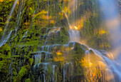 Proxy Falls in der Three Sisters Wilderness, Oregon, USA