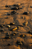 Muster aus glatten, runden Steinen am Strand bei Sonnenuntergang, Olympic National Park, Bundesstaat Washington
