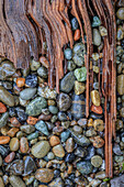 USA, Washington State, Seabeck. Panoramic of driftwood and beach rocks.