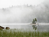 Washington State, Alpine Lakes Wilderness. Snow Lake, Insel und Nebel