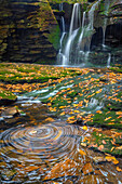 USA, West Virginia, Blackwater Falls State Park. Wasserfall und Whirlpool, malerisch.