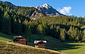 Malerischer Bergbauernhof vor beeindruckenden Kulisse des Peiterkofel, Südtirol, Italien, Europa                 