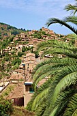 Blick auf Deia, Serra de Tramuntana, Mallorca, Balearen, Spanien