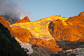 Blick auf die Gletscherzung 'Glacier de Bossons' im goldenen Abendlicht, Chamonix-Mont-Blanc, Auvergne-Rhone-Alpes, Frankreich