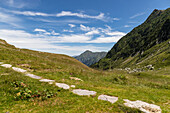 The green mountain pasture in the summer season of Colle Baranca in Valsesia, Piedmont, Italy.