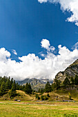 Die Wiesen, die Wälder im Herbst auf der Alpe Devero, Piemont, Italien.