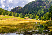 Lake of the witches in the autumn season surrounded by meadows and woods, Alpe Devero, Piedmont, Italy.