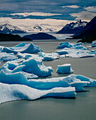 Icebergs and glacier, Lago Gray, Torres Del Paine National Park, Patagonia, Chile.