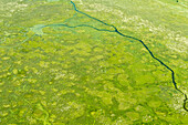 Luftaufnahme der Feuchtgebiete südwestlich des Viktoriasees. Uganda.