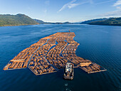 Canada, British Columbia, Campbell River, Aerial view of tugboat pushing boom of freshly cut logs toward Seymour Narrows along Vancouver Island on summer evening