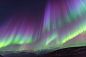 Europa, Nordisland, in der Nähe von Akureyri. Die Nordlichter leuchten in unglaublichen Farben.