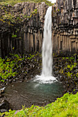 Europe, Southeast Iceland, Skaftafell National Park, Svartifoss, Black Falls. This waterfall is distinguished by its surrounding dark basalt lava formations.