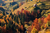 Rumänien, Siebenbürgen, Karpaten, Magura, Nationalpark Piatra Craiului.