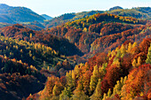Romania, Transylvania, Carpathian Mountains, Magura, Piatra Craiului National Park. Fall Colors.