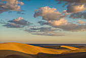 Spain, Canary Islands, Gran Canaria Island, Maspalomas, Maspalomas Dunes National Park