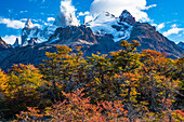 Argentina, Patagonia, El Chalten Fitz Roy