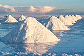 Bolivien, Uyuni, Salar de Uyuni. Salzkegel wurden aufgekratzt, damit das Salz vor der Ernte trocknet.