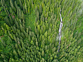 USA, Alaska, Juneau, Taku Harbor State Marine Park, Luftaufnahme des Wasserfalls am Berghang im Küstenregenwald